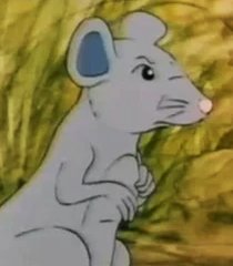 Sr. Rato