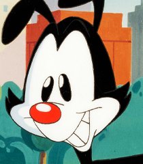 Yakko Warner