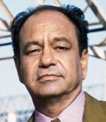 Insp. Joe Dominguez (Cheech Marin)