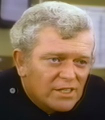 Sgt. Bernie Vincent (Eddie Egan)