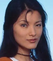 Insp. Michelle Chan (Kelly Hu)