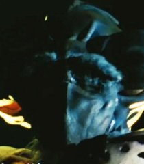 Oscarina (Eiji Maruyama)