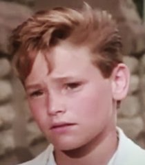 Stevie Katts (Andrew Bednarski)