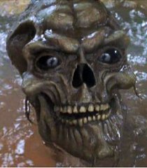 Crânio (Arthur Burghardt - voz)